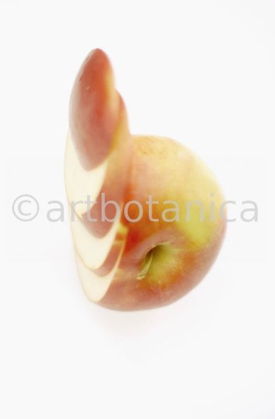 Kochen-Frucht-Apfel-6