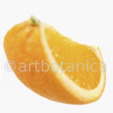 Kochen-Frucht-Orange-12
