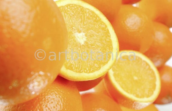 Kochen-Frucht-Orange-21