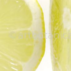 Kochen-Frucht-Zitrone-3