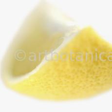 Kochen-Frucht-Zitrone-4