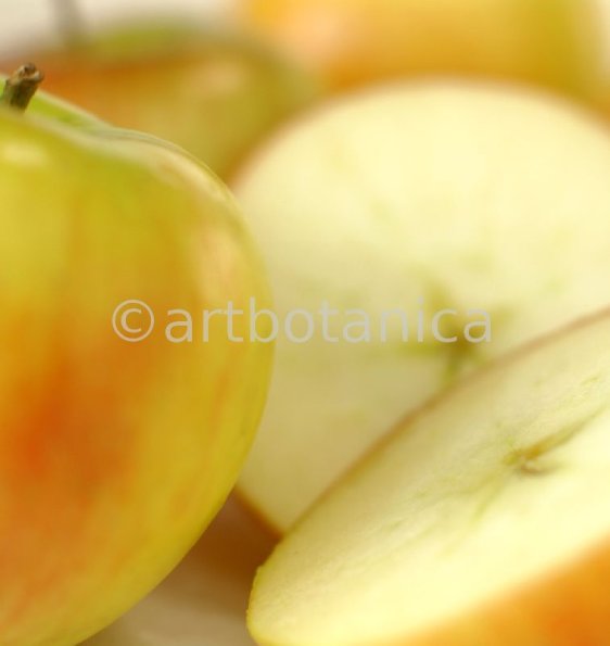 Kochen-Frucht-Apfel-1