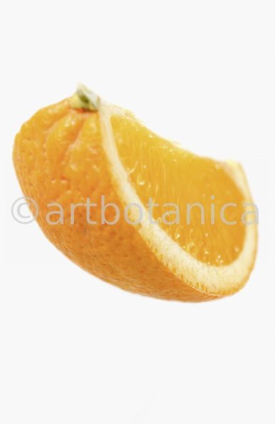 Kochen-Frucht-Orange-13