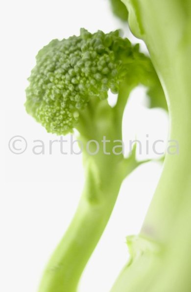 Kochen-Gemüse-Brokkoli-11