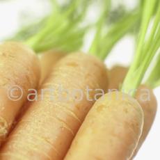 Kochen-Gemüse-Karotte-4