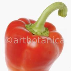 Kochen-Gemüse-Paprika-2