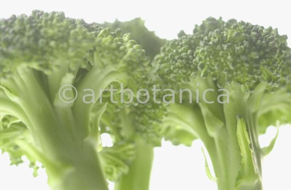 Kochen-Gemüse-Brokkoli-8