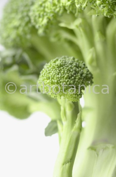 Kochen-Gemüse-Brokkoli-2
