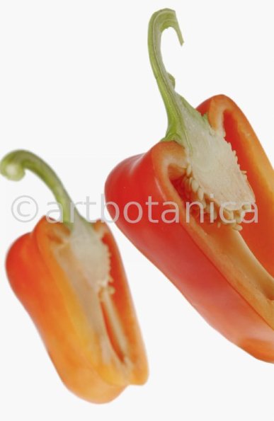 Kochen-Gemüse-Paprika-5