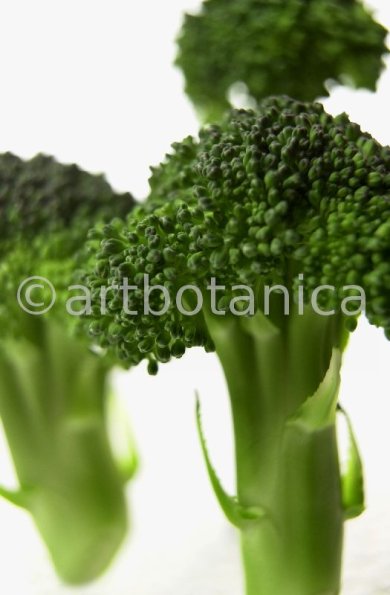 Kochen-Gemüse-Brokkoli-9