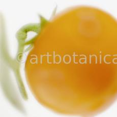 Kochen-Gemüse-Tomate-3