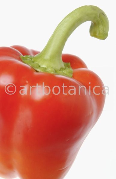 Kochen-Gemüse-Paprika-3