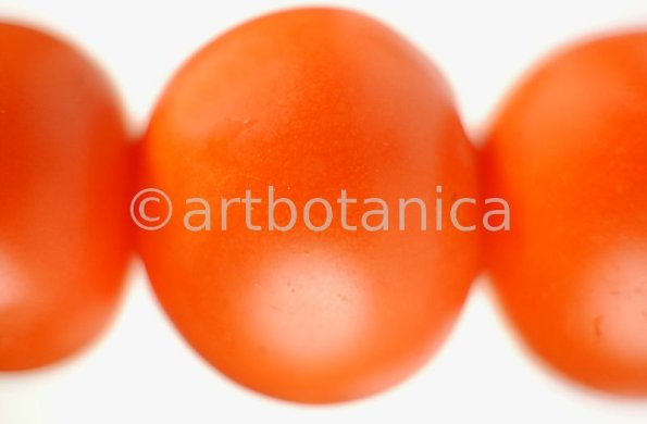 Kochen-Gemüse-Tomate-5