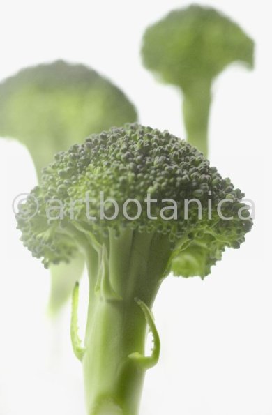Kochen-Gemüse-Brokkoli-7