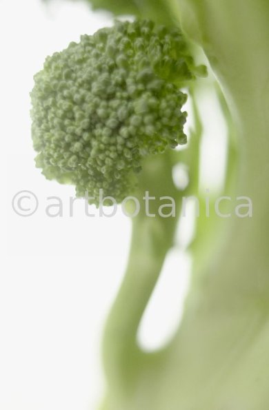 Kochen-Gemüse-Brokkoli-6