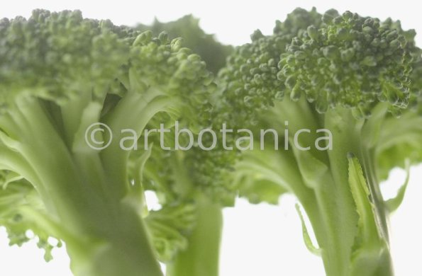 Kochen-Gemüse-Brokkoli-5