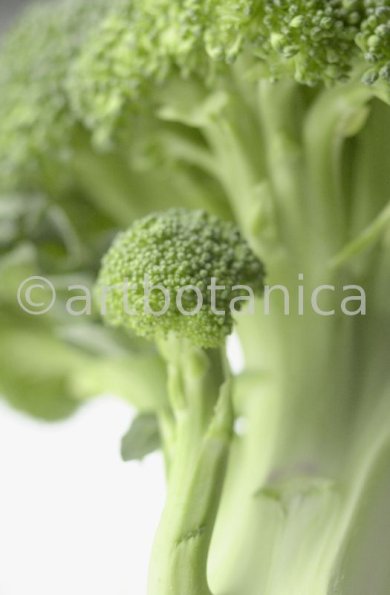 Kochen-Gemüse-Brokkoli-4