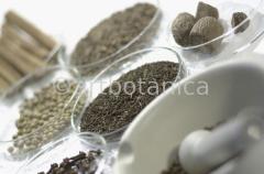 Kochen-Gewürze-gemischt-7