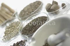 Kochen-Gewürze-gemischt-8