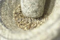 Kochen-Gewürze-gemischt-5