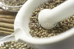 Kochen-Gewürze-gemischt-4