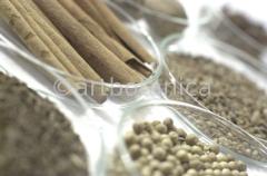 Kochen-Gewürze-gemischt-9