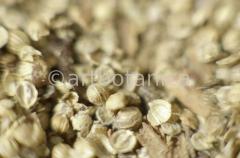 Kochen-Gewürze-gemischt-25