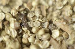 Kochen-Gewürze-gemischt-24