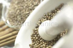 Kochen-Gewürze-gemischt-3