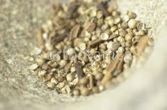 Kochen-Gewürze-gemischt-26