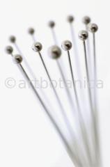 Kochen-Kochutensilien-9