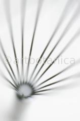 Kochen-Kochutensilien-6