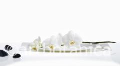 Geschirr und Kuechenutensilien 003