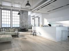 Modern loft with a kitchen .3d rendering