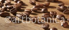 Kaffee 005