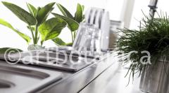 Kuechenkraeuter_016-Muster