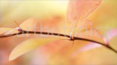 Sommerimpressionen_052