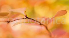 Sommerimpressionen_050