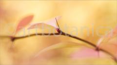 Sommerimpressionen_047