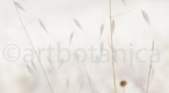 Sommerimpressionen_042