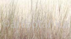 Sommerimpressionen_036