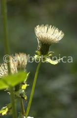 impressions of autumn