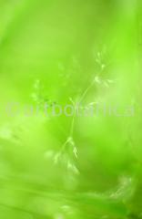 Natur-Gräser-30