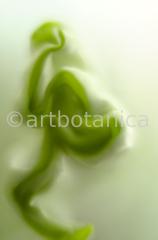 Natur-Waldmysterien-11