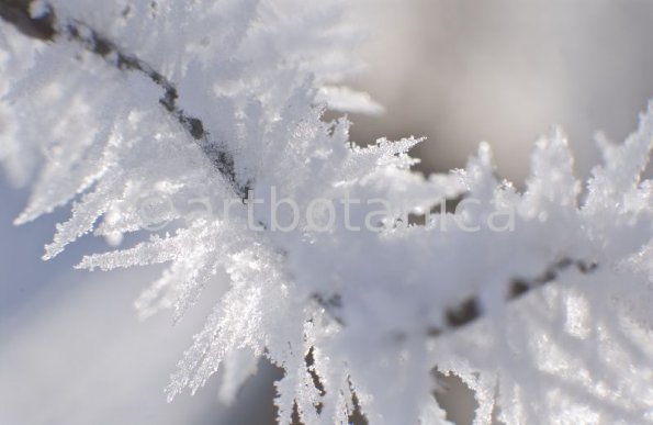 Natur-Winterimpressionen-21