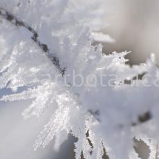 Natur-Winterimpressionen-21