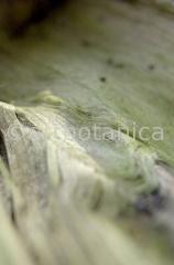 Strukturen-Baumrinden-19