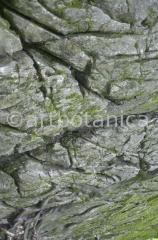 Strukturen-Fels-2
