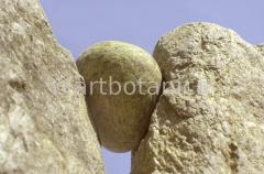 Strukturen-Felsformation-Zange-11