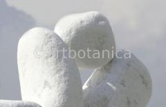 Rock formation tongs